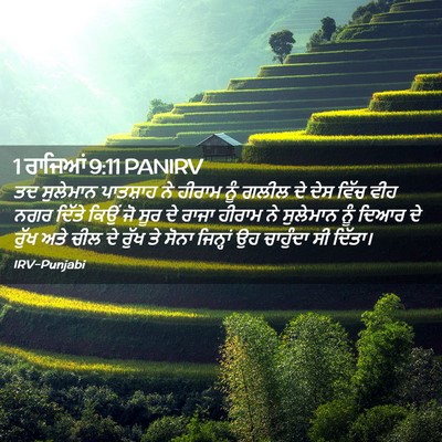 Picture 02 - 1 ਰਾਜਿਆਂ 9:11 PANIRV - ਤਦ ਸੁਲੇਮਾਨ - Bible Verse Picture