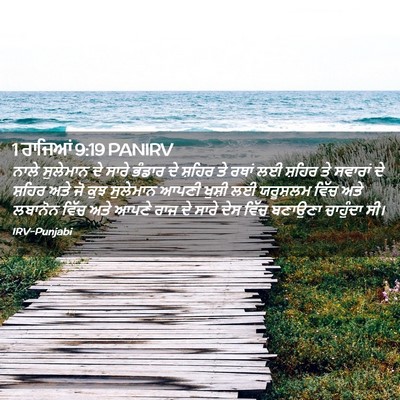 Picture 02 - 1 ਰਾਜਿਆਂ 9:19 PANIRV - ਨਾਲੇ ਸੁਲੇਮਾਨ ਦੇ - Bible Verse Picture