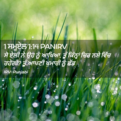 Picture 02 - 1 ਸਮੂਏਲ 1:14 PANIRV - ਸੋ ਏਲੀ ਨੇ ਉਹ ਨੂੰ - Bible Verse Picture
