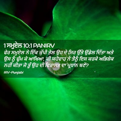 Picture 02 - 1 ਸਮੂਏਲ 10:1 PANIRV - ਫੇਰ ਸਮੂਏਲ ਨੇ ਇੱਕ - Bible Verse Picture