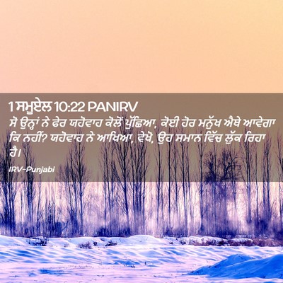 Picture 02 - 1 ਸਮੂਏਲ 10:22 PANIRV - ਸੋ ਉਨ੍ਹਾਂ ਨੇ ਫੇਰ - Bible Verse Picture