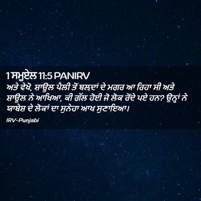 Picture 02 - 1 ਸਮੂਏਲ 11:5 PANIRV - ਅਤੇ ਵੇਖੋ, ਸ਼ਾਊਲ - Bible Verse Picture