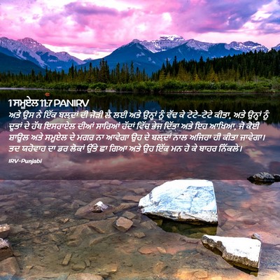 Picture 02 - 1 ਸਮੂਏਲ 11:7 PANIRV - ਅਤੇ ਉਸ ਨੇ ਇੱਕ - Bible Verse Picture