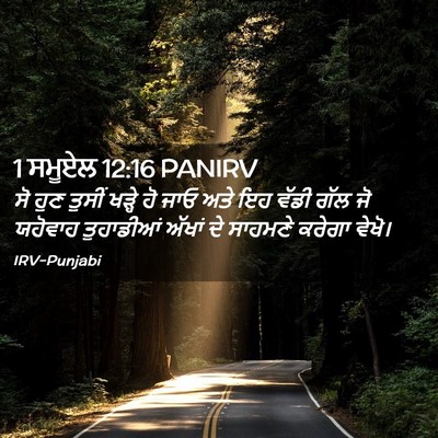 Picture 02 - 1 ਸਮੂਏਲ 12:16 PANIRV - ਸੋ ਹੁਣ ਤੁਸੀਂ ਖੜ੍ਹੇ - Bible Verse Picture