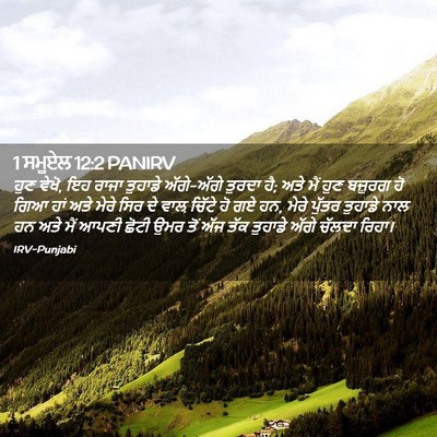 Picture 02 - 1 ਸਮੂਏਲ 12:2 PANIRV - ਹੁਣ ਵੇਖੋ, ਇਹ ਰਾਜਾ - Bible Verse Picture