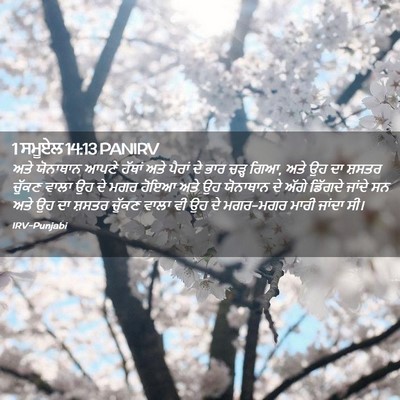 Picture 02 - 1 ਸਮੂਏਲ 14:13 PANIRV - ਅਤੇ ਯੋਨਾਥਾਨ ਆਪਣੇ - Bible Verse Picture