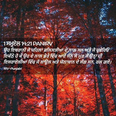 Picture 02 - 1 ਸਮੂਏਲ 14:21 PANIRV - ਉਹ ਇਬਰਾਨੀ ਜੋ - Bible Verse Picture