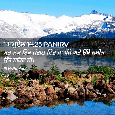 Picture 02 - 1 ਸਮੂਏਲ 14:25 PANIRV - ਸਭ ਲੋਕ ਇੱਕ ਜੰਗਲ - Bible Verse Picture