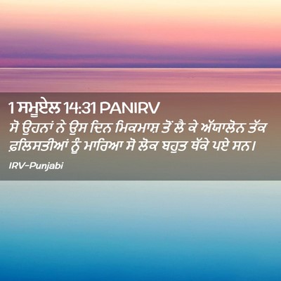 Picture 02 - 1 ਸਮੂਏਲ 14:31 PANIRV - ਸੋ ਉਹਨਾਂ ਨੇ ਉਸ ਦਿਨ - Bible Verse Picture