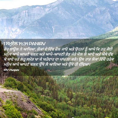 Picture 02 - 1 ਸਮੂਏਲ 14:34 PANIRV - ਫੇਰ ਸ਼ਾਊਲ ਨੇ ਆਖਿਆ, - Bible Verse Picture