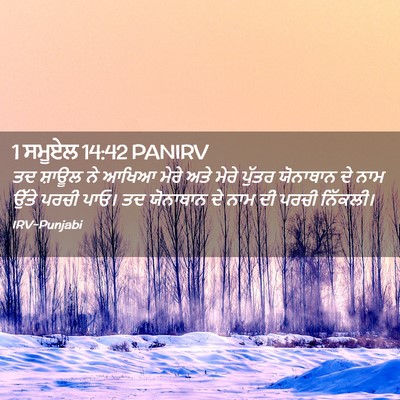 Picture 02 - 1 ਸਮੂਏਲ 14:42 PANIRV - ਤਦ ਸ਼ਾਊਲ ਨੇ ਆਖਿਆ - Bible Verse Picture