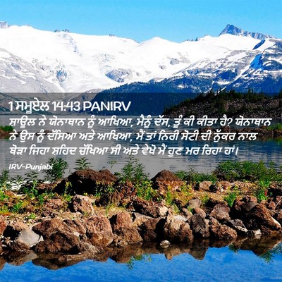 Picture 02 - 1 ਸਮੂਏਲ 14:43 PANIRV - ਸ਼ਾਊਲ ਨੇ ਯੋਨਾਥਾਨ - Bible Verse Picture