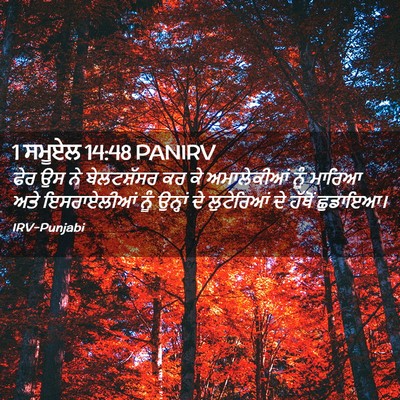 Picture 02 - 1 ਸਮੂਏਲ 14:48 PANIRV - ਫੇਰ ਉਸ ਨੇ - Bible Verse Picture