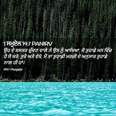 Picture 02 - 1 ਸਮੂਏਲ 14:7 PANIRV - ਉਹ ਦੇ ਸ਼ਸਤਰ ਚੁੱਕਣ - Bible Verse Picture