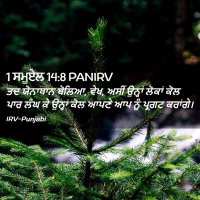 Picture 02 - 1 ਸਮੂਏਲ 14:8 PANIRV - ਤਦ ਯੋਨਾਥਾਨ ਬੋਲਿਆ, - Bible Verse Picture