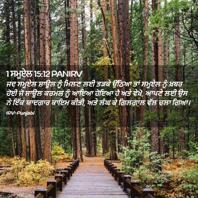 Picture 02 - 1 ਸਮੂਏਲ 15:12 PANIRV - ਜਦ ਸਮੂਏਲ ਸ਼ਾਊਲ ਨੂੰ - Bible Verse Picture
