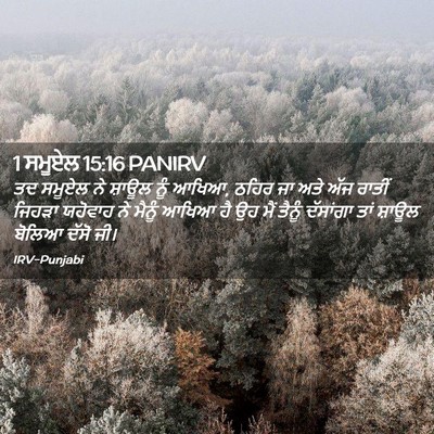 Picture 02 - 1 ਸਮੂਏਲ 15:16 PANIRV - ਤਦ ਸਮੂਏਲ ਨੇ ਸ਼ਾਊਲ - Bible Verse Picture