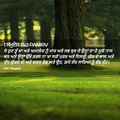 Picture 02 - 1 ਸਮੂਏਲ 15:3 PANIRV - ਸੋ ਹੁਣ ਤੂੰ ਜਾ ਅਤੇ - Bible Verse Picture