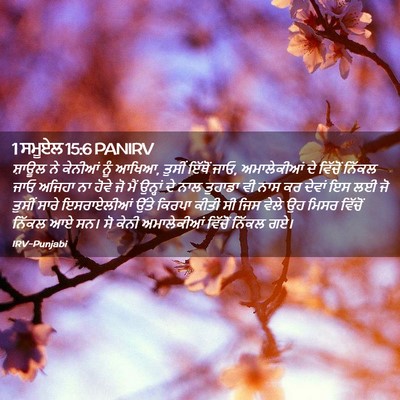 Picture 02 - 1 ਸਮੂਏਲ 15:6 PANIRV - ਸ਼ਾਊਲ ਨੇ ਕੇਨੀਆਂ - Bible Verse Picture
