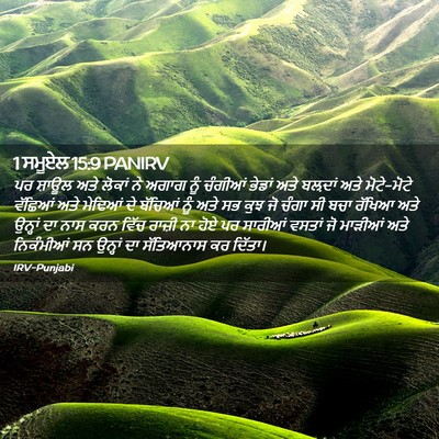 Picture 02 - 1 ਸਮੂਏਲ 15:9 PANIRV - ਪਰ ਸ਼ਾਊਲ ਅਤੇ ਲੋਕਾਂ - Bible Verse Picture