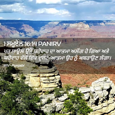 Picture 02 - 1 ਸਮੂਏਲ 16:14 PANIRV - ਪਰ ਸ਼ਾਊਲ ਉੱਤੋਂ - Bible Verse Picture