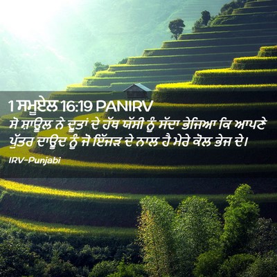 Picture 02 - 1 ਸਮੂਏਲ 16:19 PANIRV - ਸੋ ਸ਼ਾਊਲ ਨੇ ਦੂਤਾਂ - Bible Verse Picture
