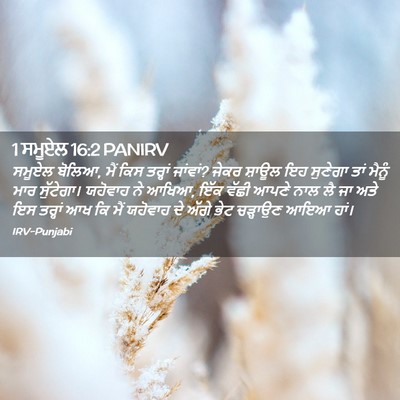 Picture 02 - 1 ਸਮੂਏਲ 16:2 PANIRV - ਸਮੂਏਲ ਬੋਲਿਆ, ਮੈਂ - Bible Verse Picture
