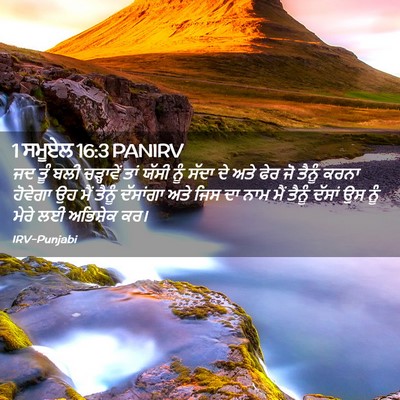 Picture 02 - 1 ਸਮੂਏਲ 16:3 PANIRV - ਜਦ ਤੂੰ ਬਲੀ - Bible Verse Picture