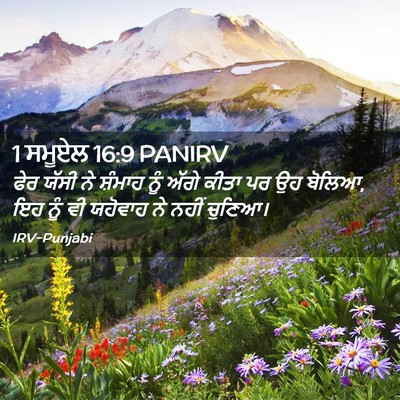 Picture 02 - 1 ਸਮੂਏਲ 16:9 PANIRV - ਫੇਰ ਯੱਸੀ ਨੇ ਸ਼ੰਮਾਹ - Bible Verse Picture