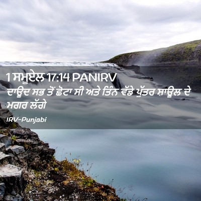 Picture 02 - 1 ਸਮੂਏਲ 17:14 PANIRV - ਦਾਊਦ ਸਭ ਤੋਂ ਛੋਟਾ ਸੀ - Bible Verse Picture