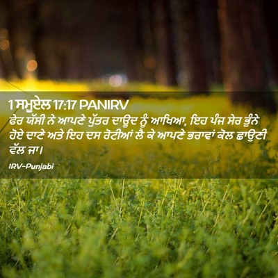 Picture 02 - 1 ਸਮੂਏਲ 17:17 PANIRV - ਫੇਰ ਯੱਸੀ ਨੇ ਆਪਣੇ - Bible Verse Picture