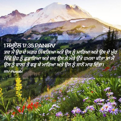 Picture 02 - 1 ਸਮੂਏਲ 17:35 PANIRV - ਤਦ ਮੈਂ ਉਹ ਦੇ ਮਗਰ - Bible Verse Picture