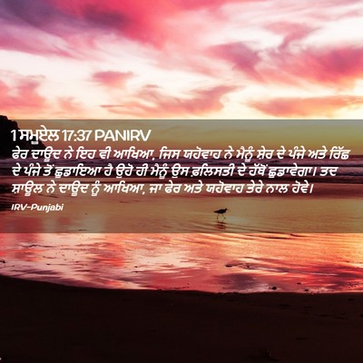 Picture 02 - 1 ਸਮੂਏਲ 17:37 PANIRV - ਫੇਰ ਦਾਊਦ ਨੇ ਇਹ ਵੀ - Bible Verse Picture