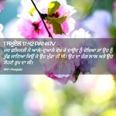Picture 02 - 1 ਸਮੂਏਲ 17:42 PANIRV - ਜਦ ਫ਼ਲਿਸਤੀ ਨੇ - Bible Verse Picture