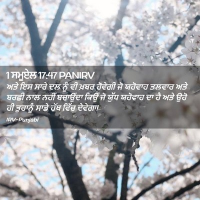 Picture 02 - 1 ਸਮੂਏਲ 17:47 PANIRV - ਅਤੇ ਇਸ ਸਾਰੇ ਦਲ ਨੂੰ - Bible Verse Picture