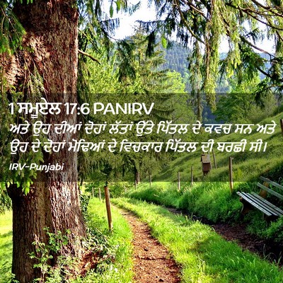 Picture 02 - 1 ਸਮੂਏਲ 17:6 PANIRV - ਅਤੇ ਉਹ ਦੀਆਂ ਦੋਹਾਂ - Bible Verse Picture