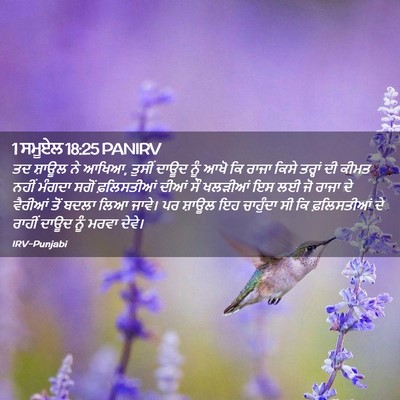 Picture 02 - 1 ਸਮੂਏਲ 18:25 PANIRV - ਤਦ ਸ਼ਾਊਲ ਨੇ ਆਖਿਆ, - Bible Verse Picture