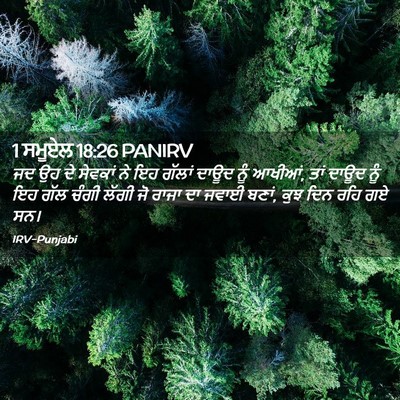 Picture 02 - 1 ਸਮੂਏਲ 18:26 PANIRV - ਜਦ ਉਹ ਦੇ ਸੇਵਕਾਂ ਨੇ - Bible Verse Picture