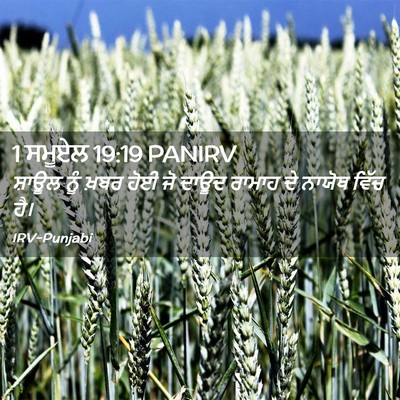Picture 02 - 1 ਸਮੂਏਲ 19:19 PANIRV - ਸ਼ਾਊਲ ਨੂੰ ਖ਼ਬਰ ਹੋਈ - Bible Verse Picture