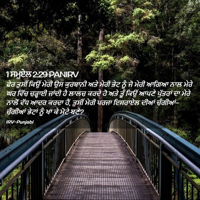 Picture 02 - 1 ਸਮੂਏਲ 2:29 PANIRV - ਫੇਰ ਤੁਸੀਂ ਕਿਉਂ - Bible Verse Picture