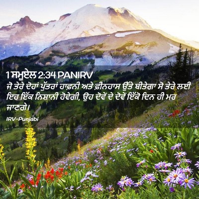 Picture 02 - 1 ਸਮੂਏਲ 2:34 PANIRV - ਜੋ ਤੇਰੇ ਦੋਹਾਂ - Bible Verse Picture
