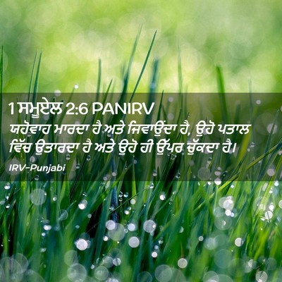 Picture 02 - 1 ਸਮੂਏਲ 2:6 PANIRV - ਯਹੋਵਾਹ ਮਾਰਦਾ ਹੈ - Bible Verse Picture