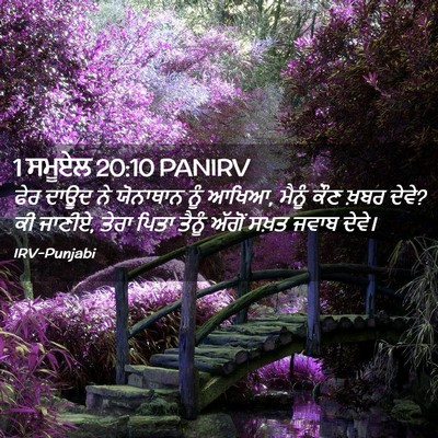 Picture 02 - 1 ਸਮੂਏਲ 20:10 PANIRV - ਫੇਰ ਦਾਊਦ ਨੇ - Bible Verse Picture