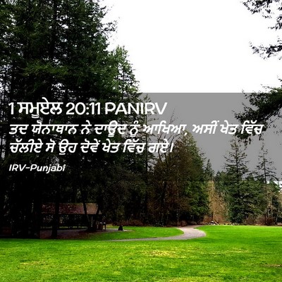 Picture 02 - 1 ਸਮੂਏਲ 20:11 PANIRV - ਤਦ ਯੋਨਾਥਾਨ ਨੇ ਦਾਊਦ - Bible Verse Picture
