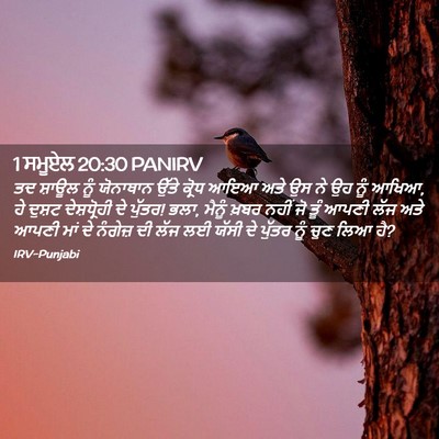 Picture 02 - 1 ਸਮੂਏਲ 20:30 PANIRV - ਤਦ ਸ਼ਾਊਲ ਨੂੰ - Bible Verse Picture