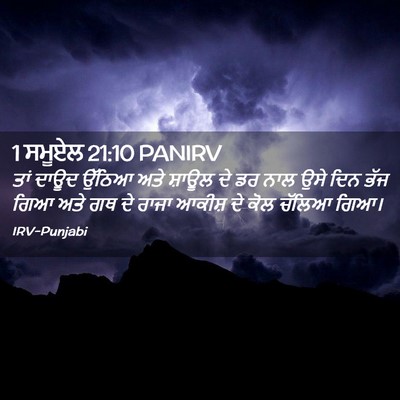 Picture 02 - 1 ਸਮੂਏਲ 21:10 PANIRV - ਤਾਂ ਦਾਊਦ ਉੱਠਿਆ ਅਤੇ - Bible Verse Picture
