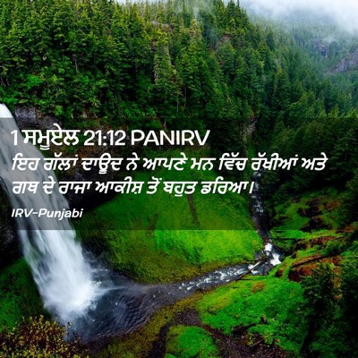 Picture 02 - 1 ਸਮੂਏਲ 21:12 PANIRV - ਇਹ ਗੱਲਾਂ ਦਾਊਦ ਨੇ - Bible Verse Picture