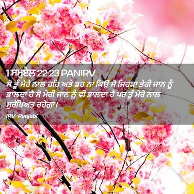 Picture 02 - 1 ਸਮੂਏਲ 22:23 PANIRV - ਸੋ ਤੂੰ ਮੇਰੇ ਨਾਲ ਰਹਿ - Bible Verse Picture