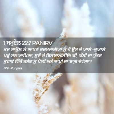 Picture 02 - 1 ਸਮੂਏਲ 22:7 PANIRV - ਤਦ ਸ਼ਾਊਲ ਨੇ ਆਪਣੇ - Bible Verse Picture