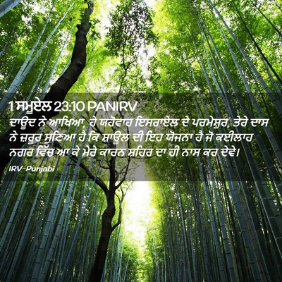 Picture 02 - 1 ਸਮੂਏਲ 23:10 PANIRV - ਦਾਊਦ ਨੇ ਆਖਿਆ, ਹੇ - Bible Verse Picture